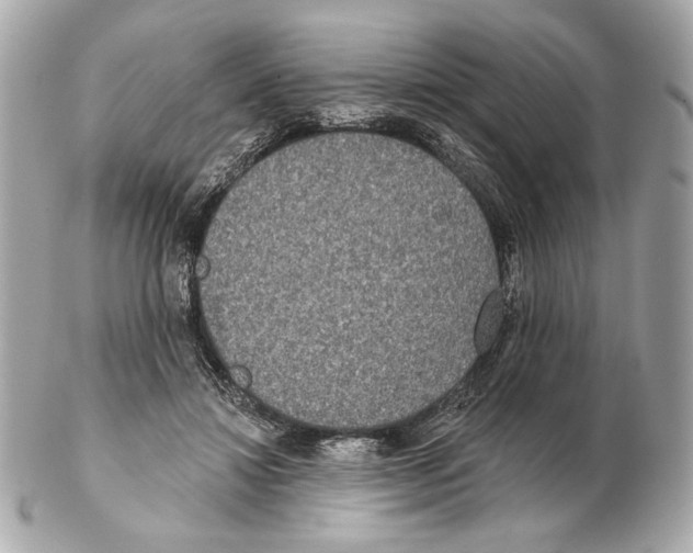 X0000102400452200808291449