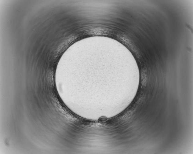 X0000102400453200808291449