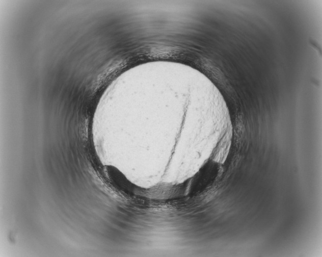 X0000102400454200808291449