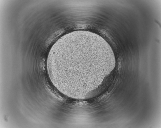 X0000102400455200808291449