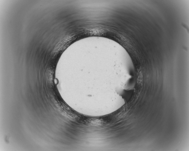 X0000102400456200808291449