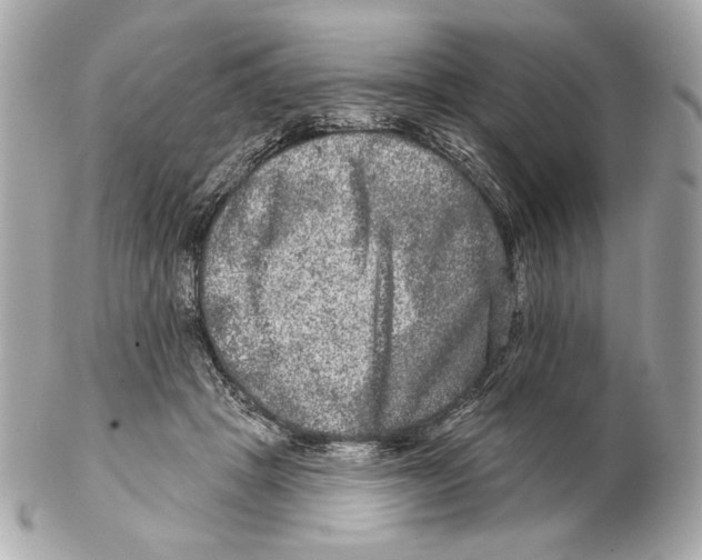 X0000102400457200808291449