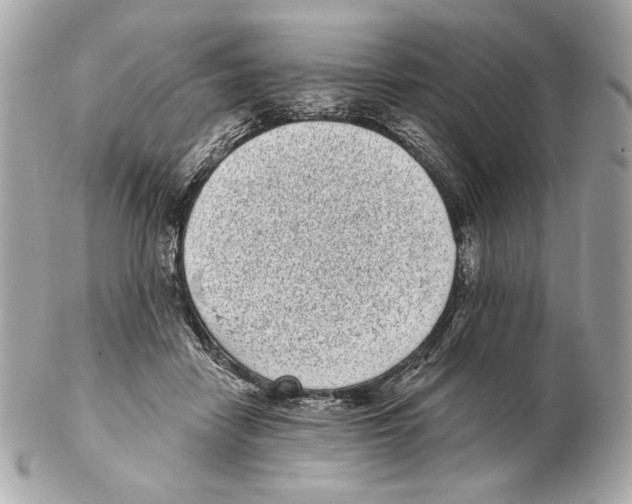 X0000102400458200808291449