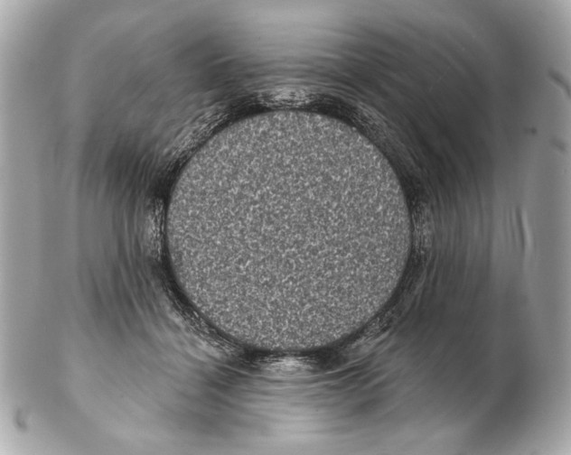 X0000102400460200808291449