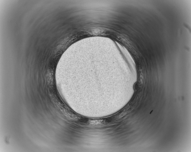 X0000102400461200808291449