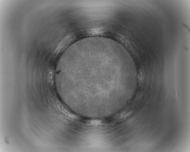 X0000102400462200808291449
