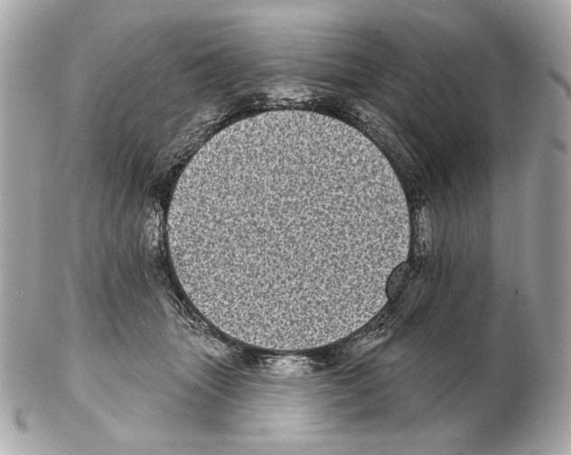 X0000102400463200808291449