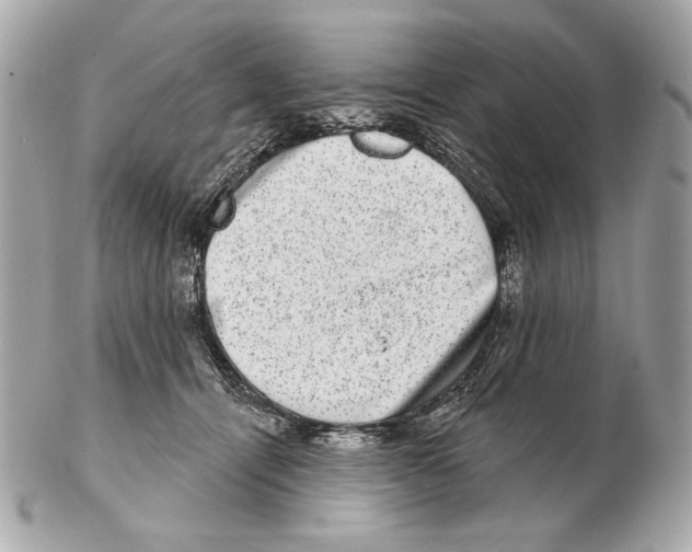 X0000102400464200808291449
