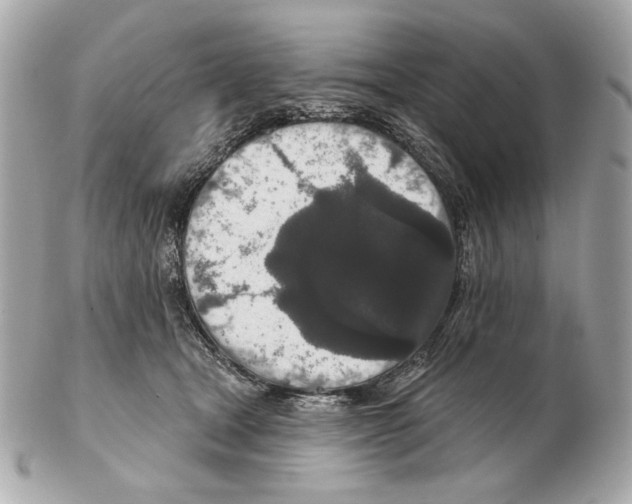 X0000102400465200808291449