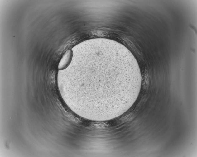 X0000102400466200808291449
