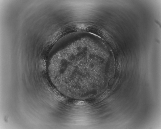 X0000102400467200808291449