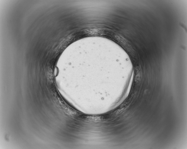 X0000102400469200808291449