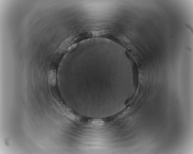 X0000102400471200808291449