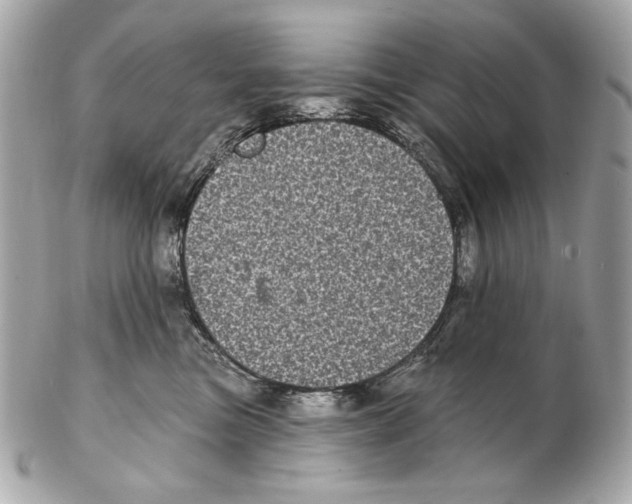 X0000102400473200808291449