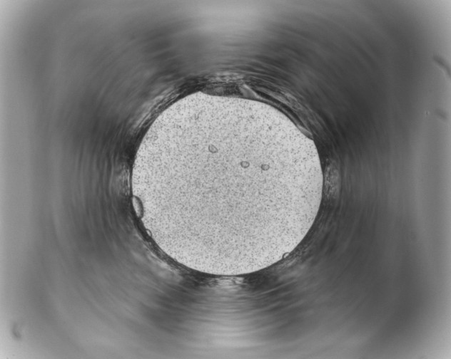 X0000102400474200808291449