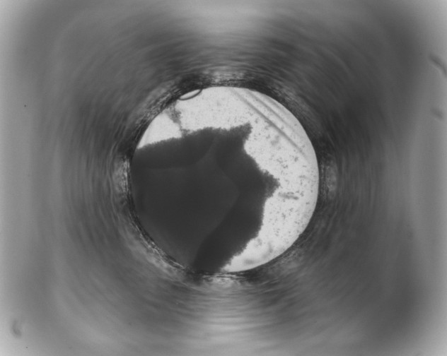 X0000102400475200808291449