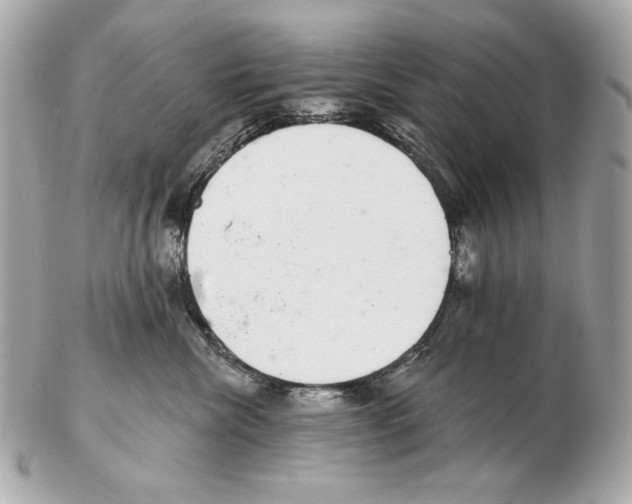 X0000102400476200808291449