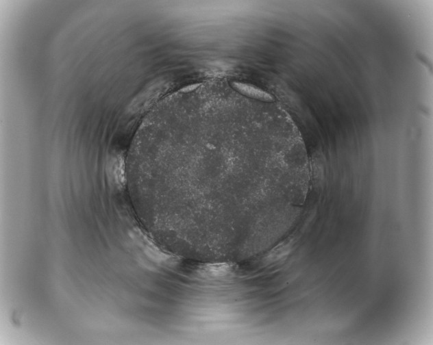 X0000102400479200808291449