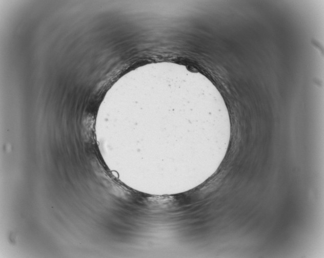 X0000102400480200808291449