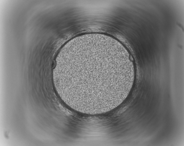 X0000102400481200808291449