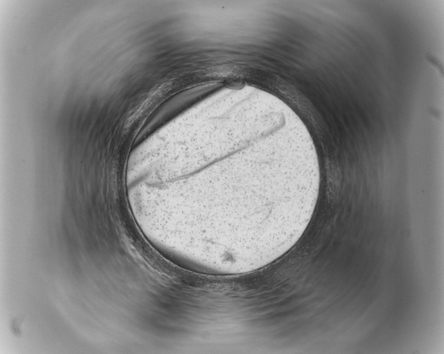 X0000102400482200808291449