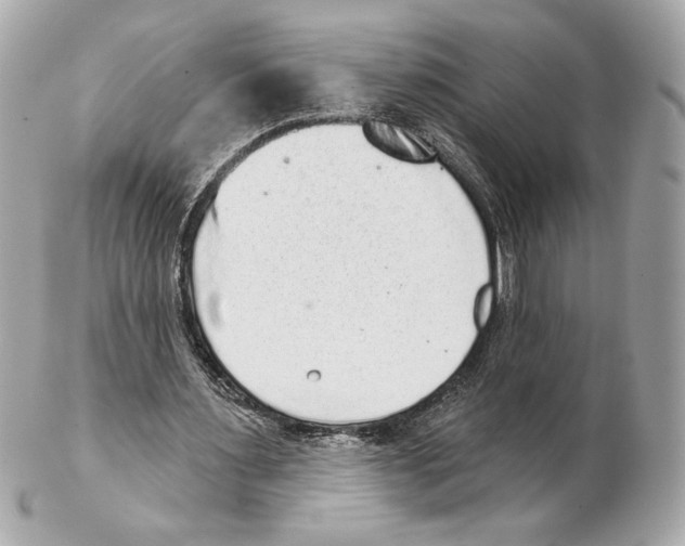 X0000102400483200808291449