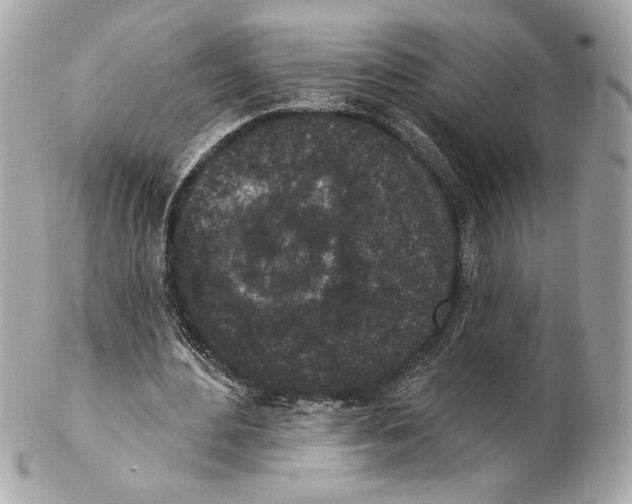 X0000102400484200808291449