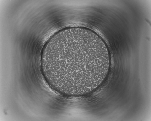 X0000102400485200808291449