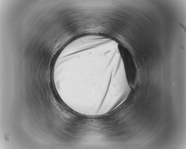 X0000102400486200808291449