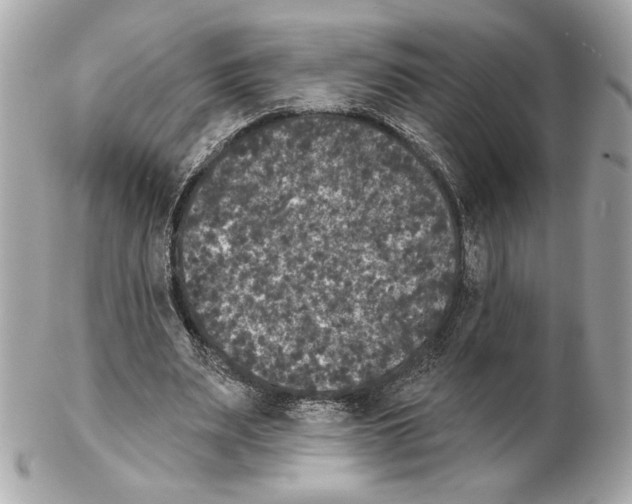 X0000102400487200808291449