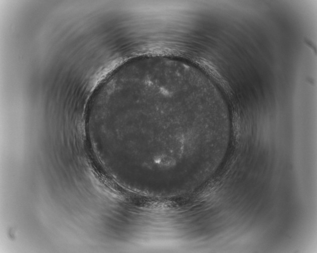 X0000102400488200808291449