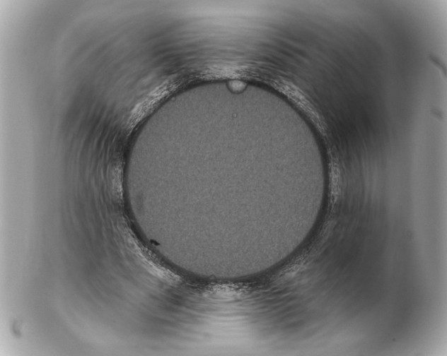 X0000102400489200808291449