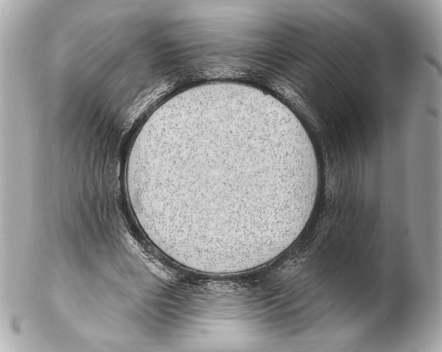 X0000102400490200808291449
