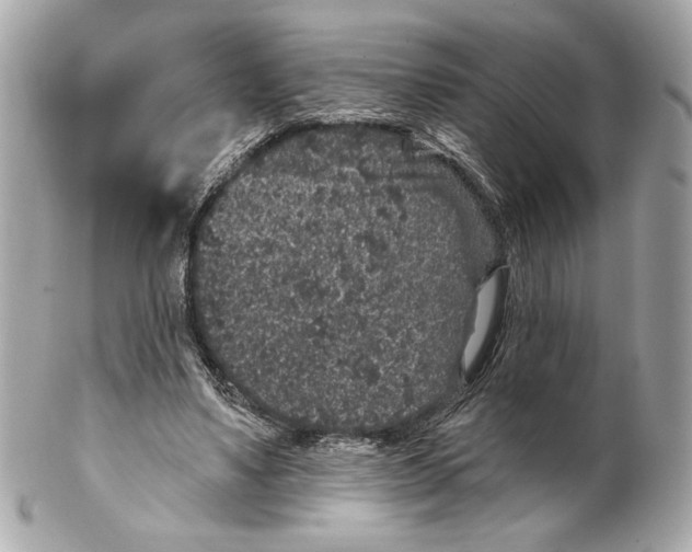 X0000102400491200808291449