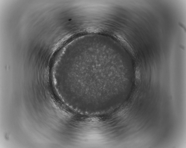 X0000102400492200808291449
