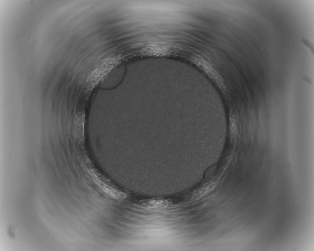 X0000102400493200808291449