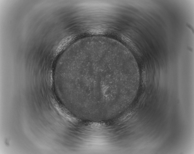X0000102400494200808291449