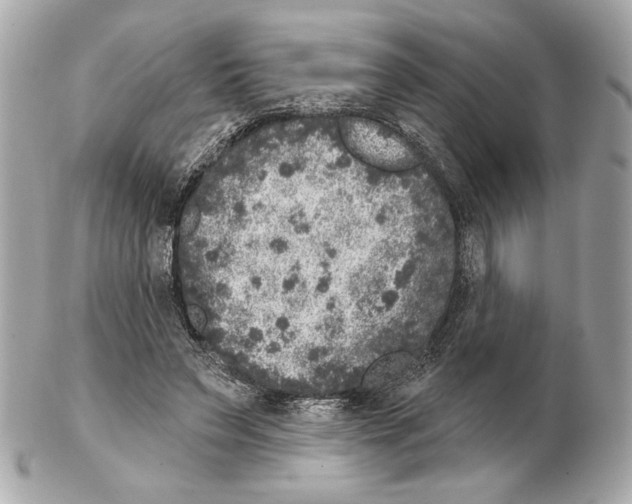X0000102400495200808291449