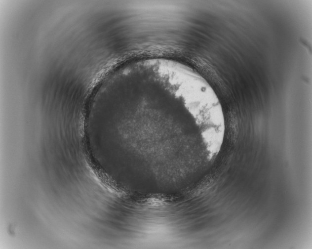 X0000102400496200808291449