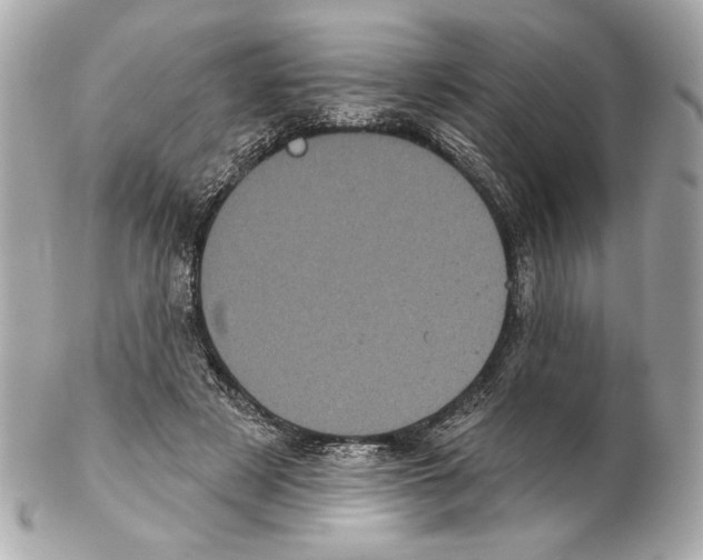 X0000102400497200808291449