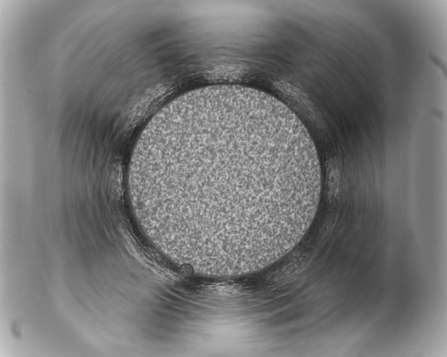 X0000102400498200808291449