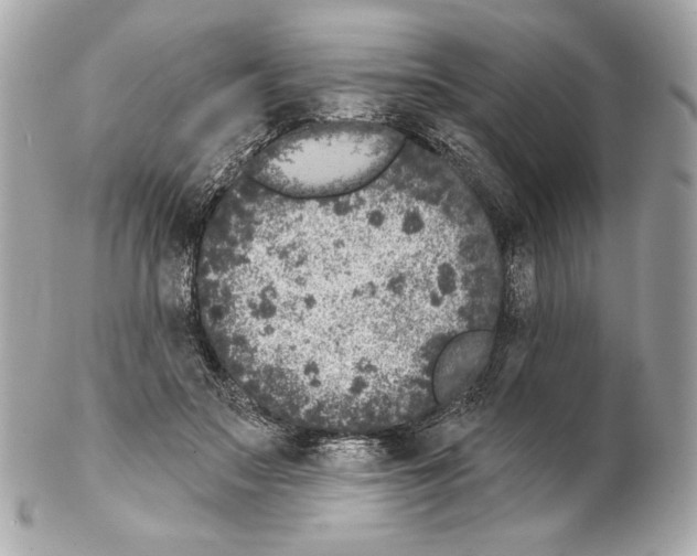 X0000102400499200808291449