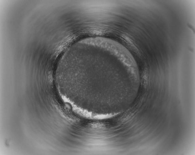 X0000102400500200808291449