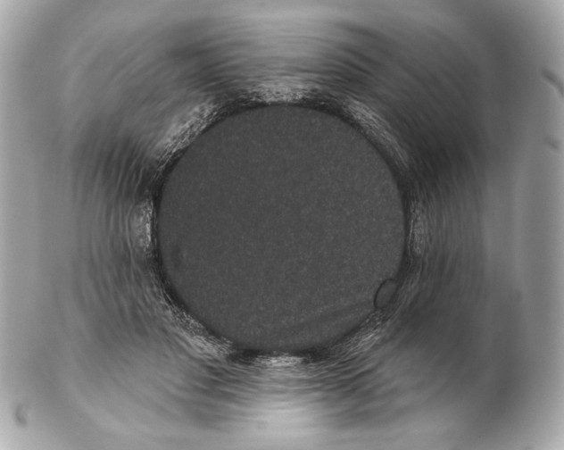 X0000102400501200808291448