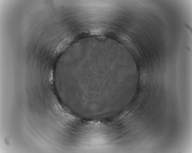 X0000102400502200808291448