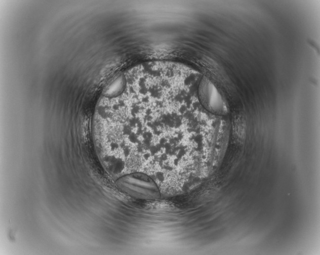 X0000102400503200808291448