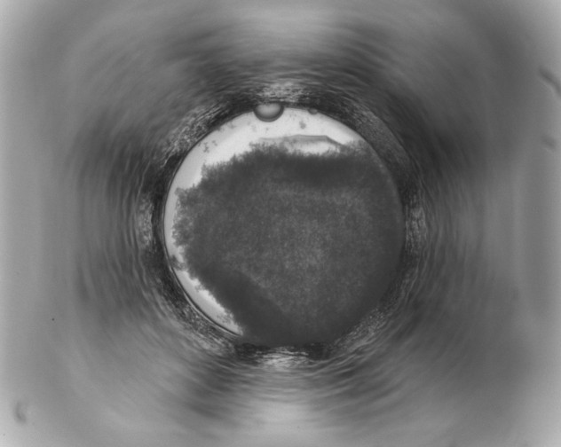 X0000102400504200808291448
