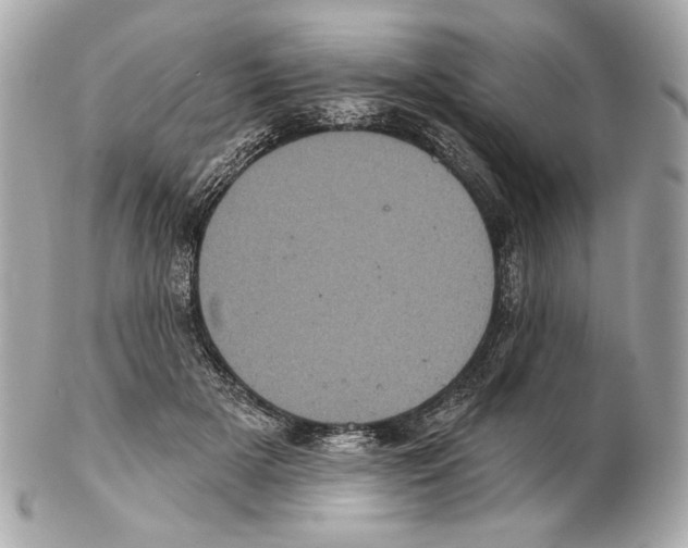 X0000102400505200808291448