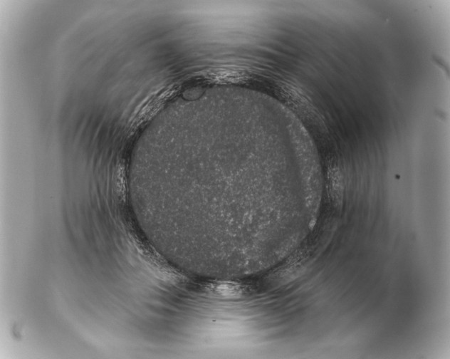 X0000102400506200808291448