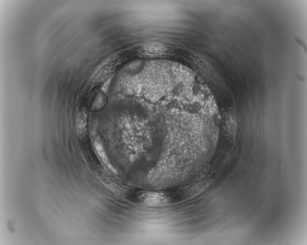 X0000102400507200808291448